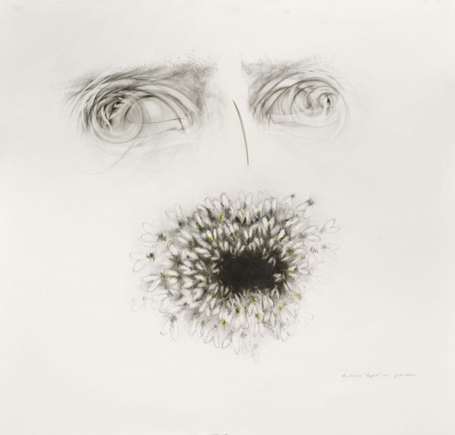 Click the image for a view of: Judith Mason. Mouthpiece Prophet. 2011. Pencil and coloured pencil on paper. 1082X1036mm